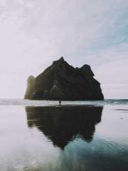 Rebirth as a Court A