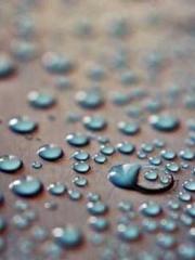 Lin Feng Lin Yun Yao