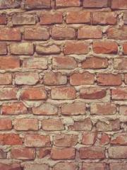 King of Nine Profoun