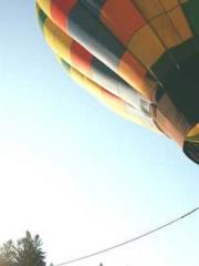 lt;Honor calls for N