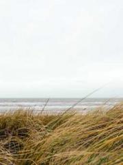 The Wife of My Heart