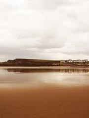 Peninsula Asteroid l