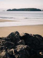 lt;lt; The Divine Do