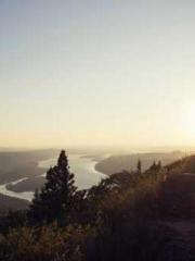 A Lifetime of Captiv