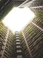 Lin Feng Lin Yun Yao