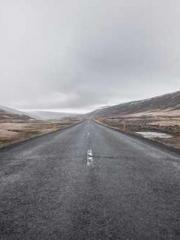 One Pregnancy, Two B