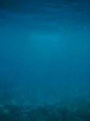 Fast Travel: The Vil