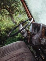 Reborn in 1989: Crea