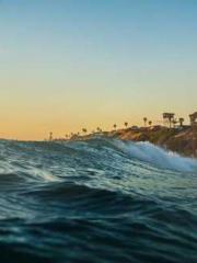 King of the Nine Pro