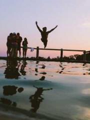 Transmigration: Feel