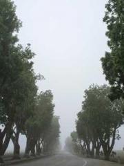 Transmigration: Feel