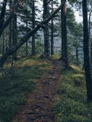 The Generalapos;s Hu